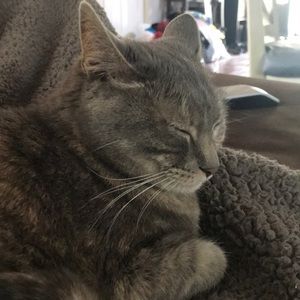 Meet your Posher, Carly